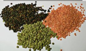 dal